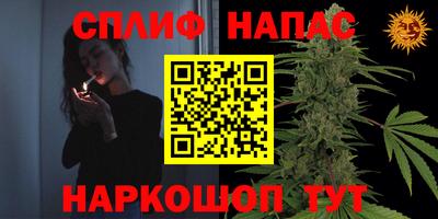 скорость Гагарин